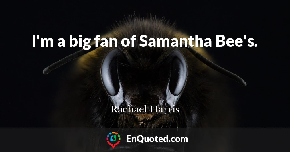I'm a big fan of Samantha Bee's.