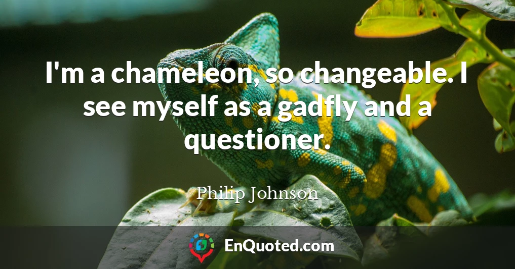 I'm a chameleon, so changeable. I see myself as a gadfly and a questioner.