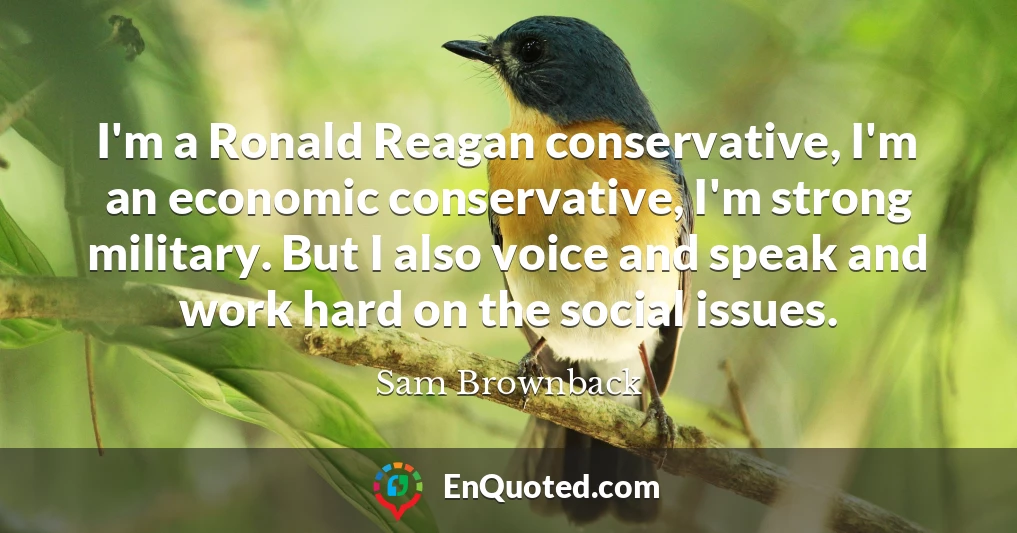 I'm a Ronald Reagan conservative, I'm an economic conservative, I'm strong military. But I also voice and speak and work hard on the social issues.