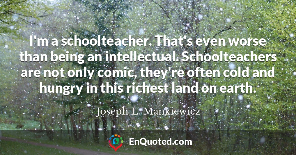 I'm a schoolteacher. That's even worse than being an intellectual. Schoolteachers are not only comic, they're often cold and hungry in this richest land on earth.