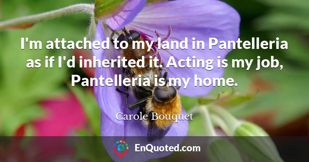 I'm attached to my land in Pantelleria as if I'd inherited it. Acting is my job, Pantelleria is my home.