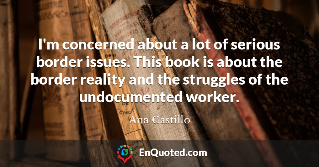 I'm concerned about a lot of serious border issues. This book is about the border reality and the struggles of the undocumented worker.