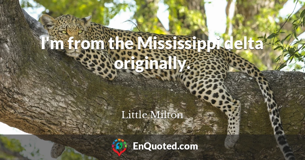 I'm from the Mississippi delta originally.