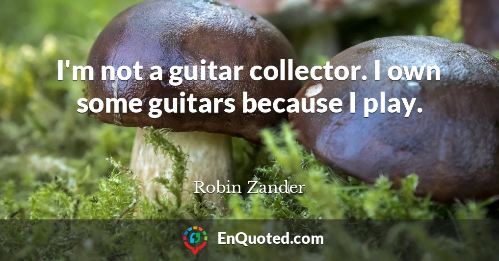 I'm not a guitar collector. I own some guitars because I play.