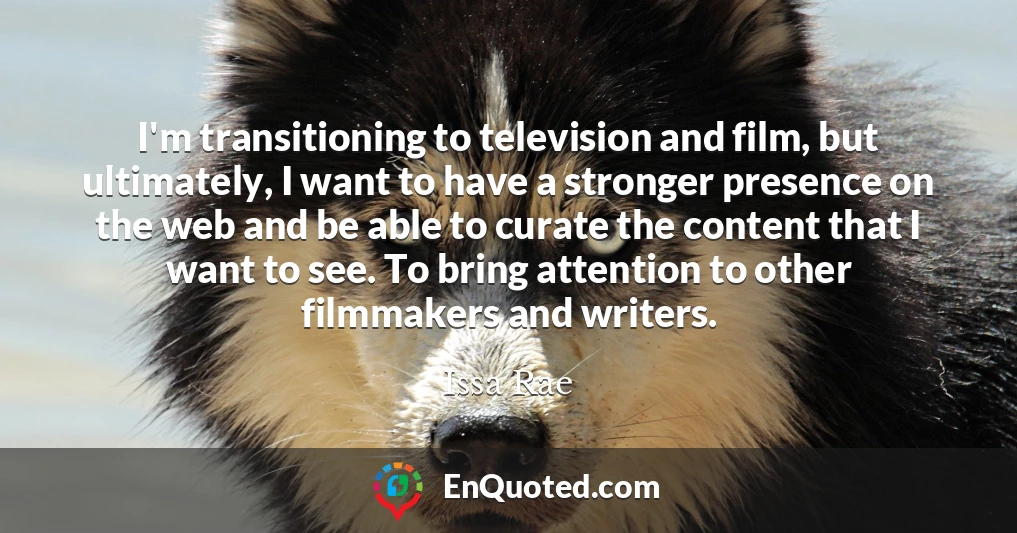 I'm transitioning to television and film, but ultimately, I want to have a stronger presence on the web and be able to curate the content that I want to see. To bring attention to other filmmakers and writers.