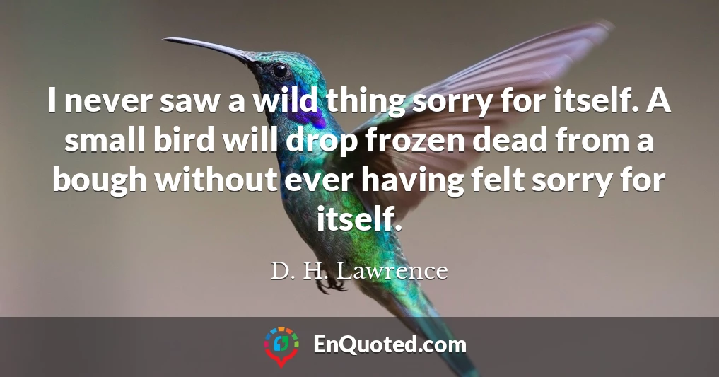 I never saw a wild thing sorry for itself. A small bird will drop frozen dead from a bough without ever having felt sorry for itself.