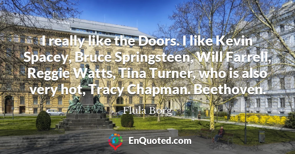 I really like the Doors. I like Kevin Spacey, Bruce Springsteen, Will Farrell, Reggie Watts, Tina Turner, who is also very hot, Tracy Chapman. Beethoven.