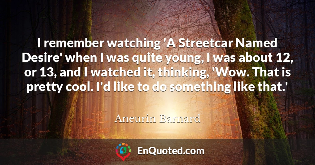 I remember watching 'A Streetcar Named Desire' when I was quite young, I was about 12, or 13, and I watched it, thinking, 'Wow. That is pretty cool. I'd like to do something like that.'