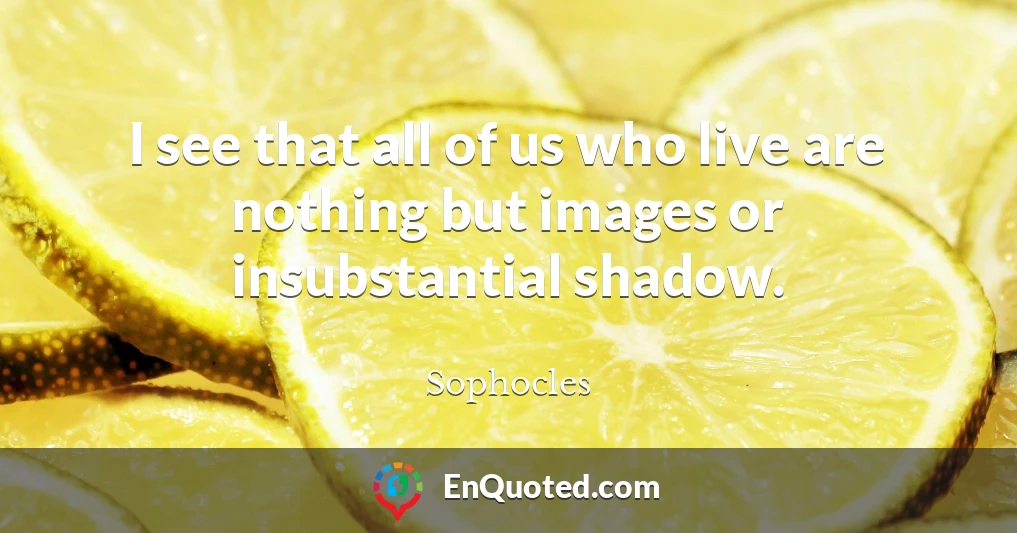 I see that all of us who live are nothing but images or insubstantial shadow.