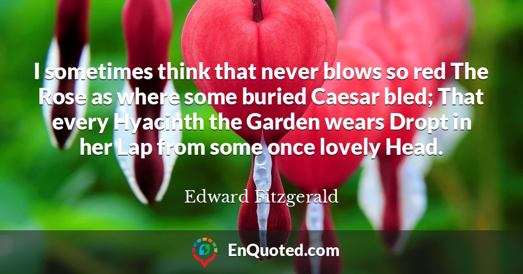 I sometimes think that never blows so red The Rose as where some buried Caesar bled; That every Hyacinth the Garden wears Dropt in her Lap from some once lovely Head.