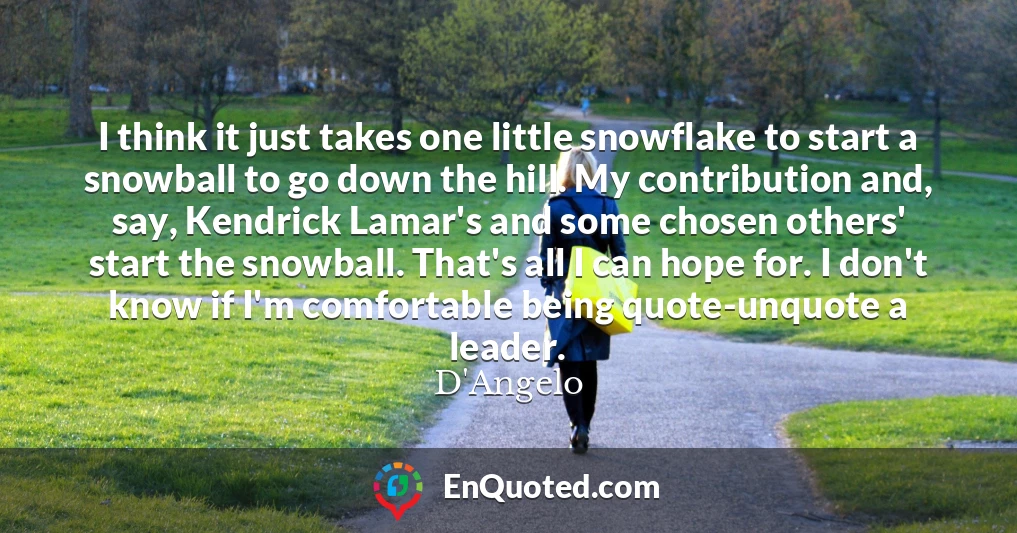 I think it just takes one little snowflake to start a snowball to go down the hill. My contribution and, say, Kendrick Lamar's and some chosen others' start the snowball. That's all I can hope for. I don't know if I'm comfortable being quote-unquote a leader.
