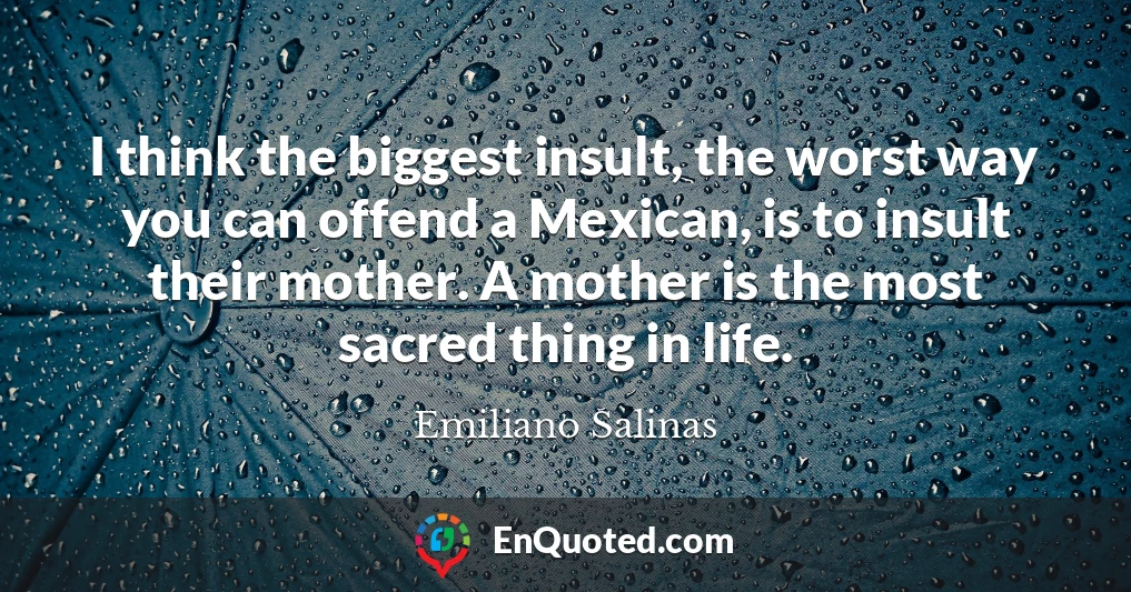 I think the biggest insult, the worst way you can offend a Mexican, is to insult their mother. A mother is the most sacred thing in life.