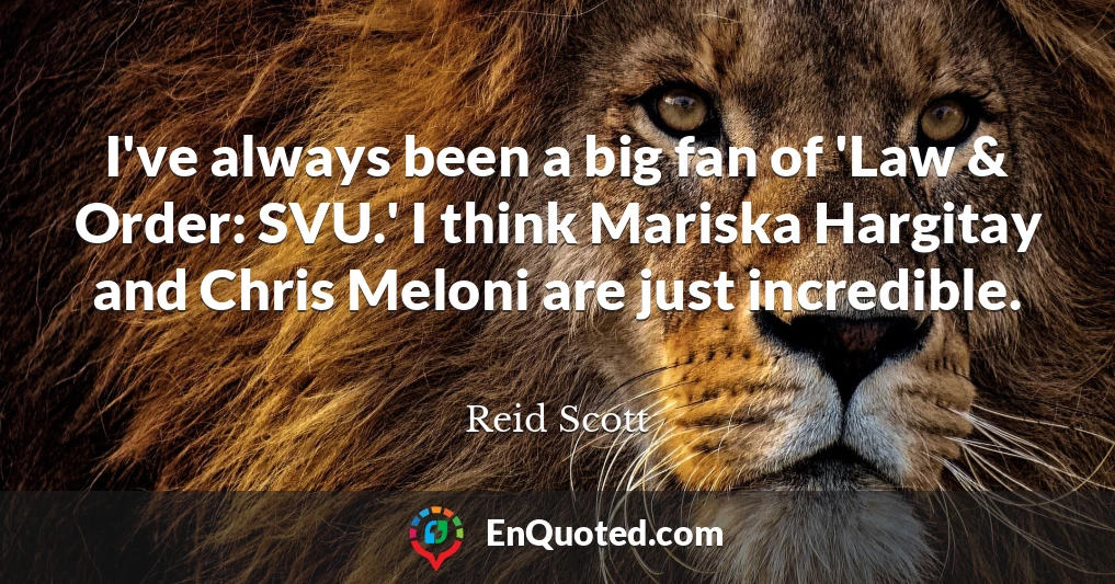 I've always been a big fan of 'Law & Order: SVU.' I think Mariska Hargitay and Chris Meloni are just incredible.