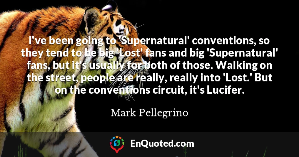 I've been going to 'Supernatural' conventions, so they tend to be big 'Lost' fans and big 'Supernatural' fans, but it's usually for both of those. Walking on the street, people are really, really into 'Lost.' But on the conventions circuit, it's Lucifer.