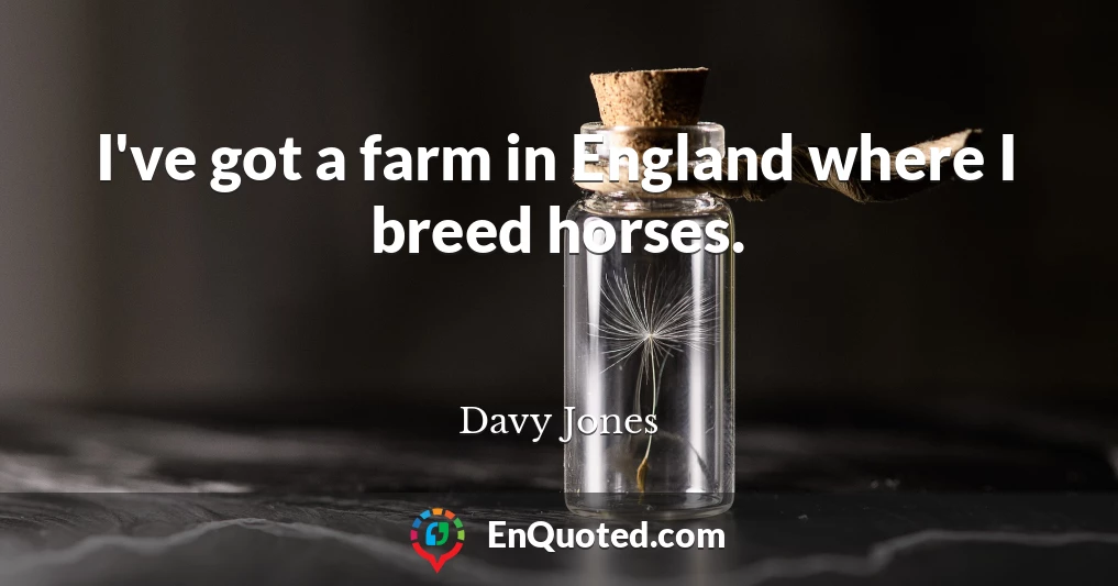 I've got a farm in England where I breed horses.