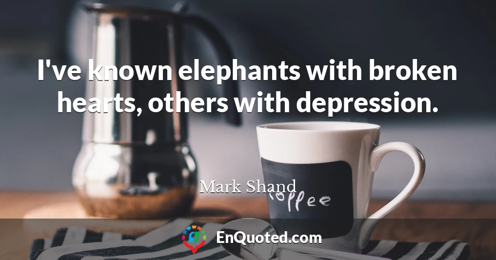 I've known elephants with broken hearts, others with depression.