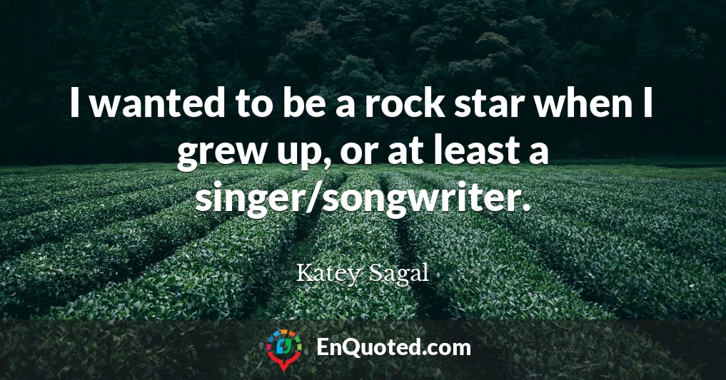 I wanted to be a rock star when I grew up, or at least a singer/songwriter.