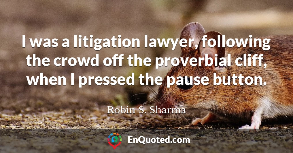 I was a litigation lawyer, following the crowd off the proverbial cliff, when I pressed the pause button.