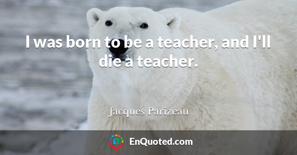 I was born to be a teacher, and I'll die a teacher.