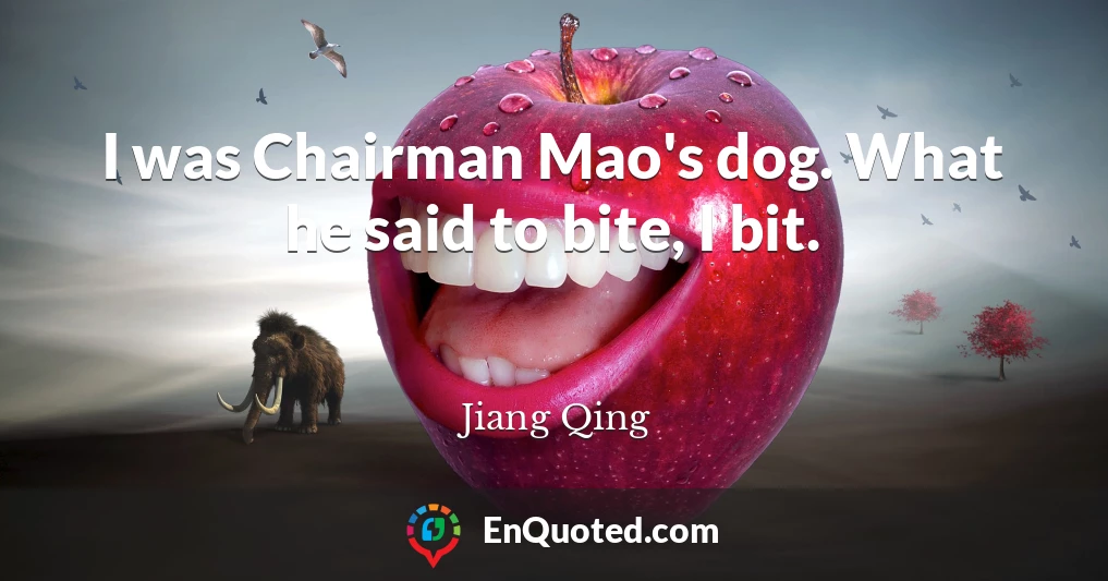 I was Chairman Mao's dog. What he said to bite, I bit.