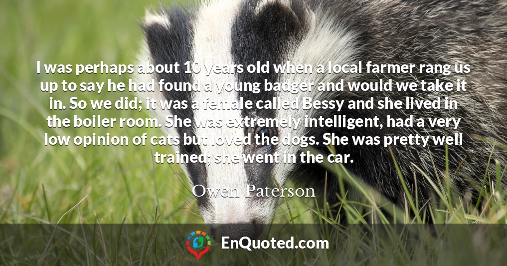 I was perhaps about 10 years old when a local farmer rang us up to say he had found a young badger and would we take it in. So we did; it was a female called Bessy and she lived in the boiler room. She was extremely intelligent, had a very low opinion of cats but loved the dogs. She was pretty well trained; she went in the car.