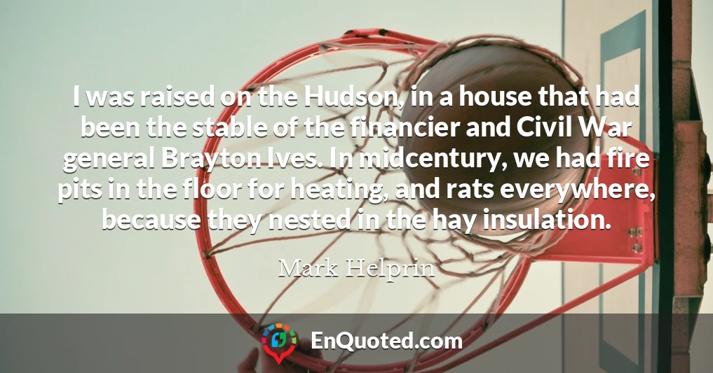 I was raised on the Hudson, in a house that had been the stable of the financier and Civil War general Brayton Ives. In midcentury, we had fire pits in the floor for heating, and rats everywhere, because they nested in the hay insulation.