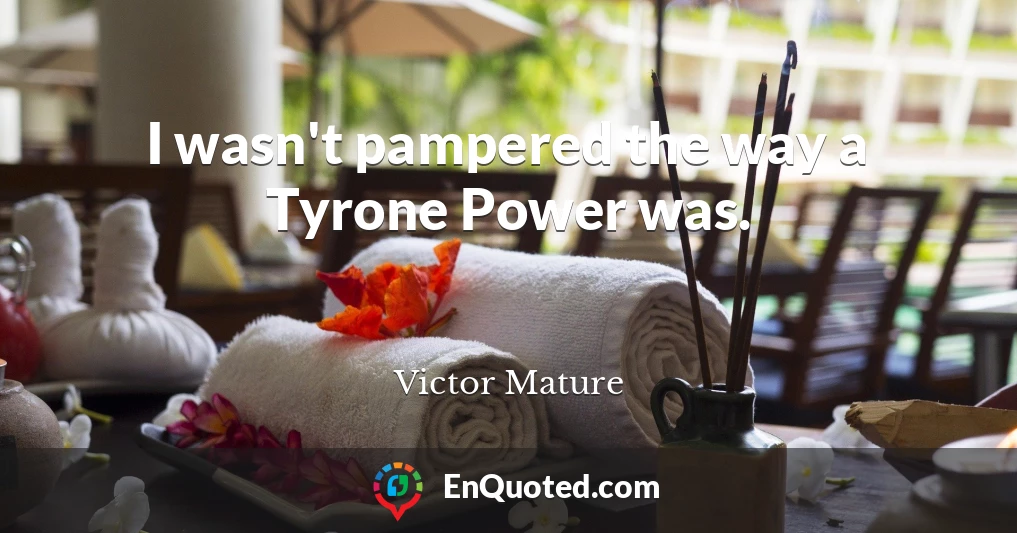 I wasn't pampered the way a Tyrone Power was.
