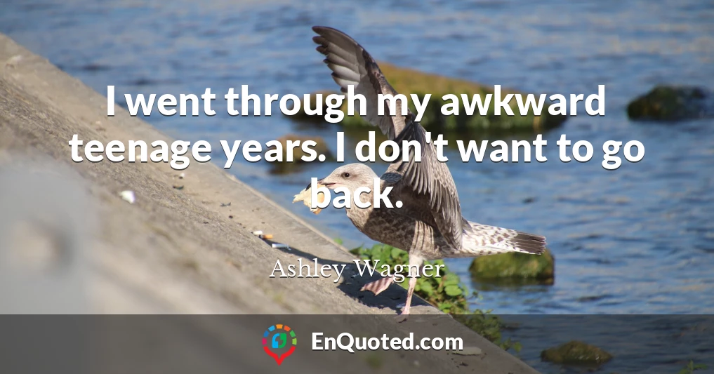 I went through my awkward teenage years. I don't want to go back.