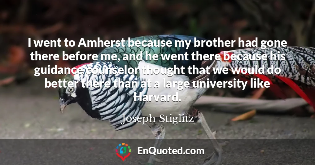 I went to Amherst because my brother had gone there before me, and he went there because his guidance counselor thought that we would do better there than at a large university like Harvard.
