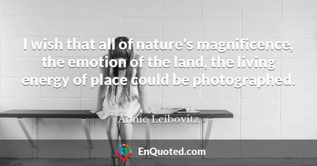 I wish that all of nature's magnificence, the emotion of the land, the living energy of place could be photographed.