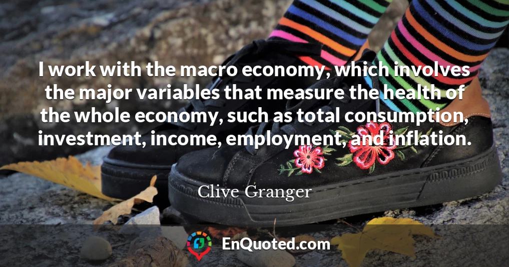 I work with the macro economy, which involves the major variables that measure the health of the whole economy, such as total consumption, investment, income, employment, and inflation.