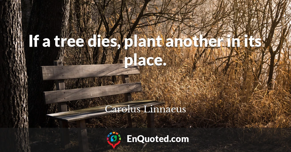 If a tree dies, plant another in its place.