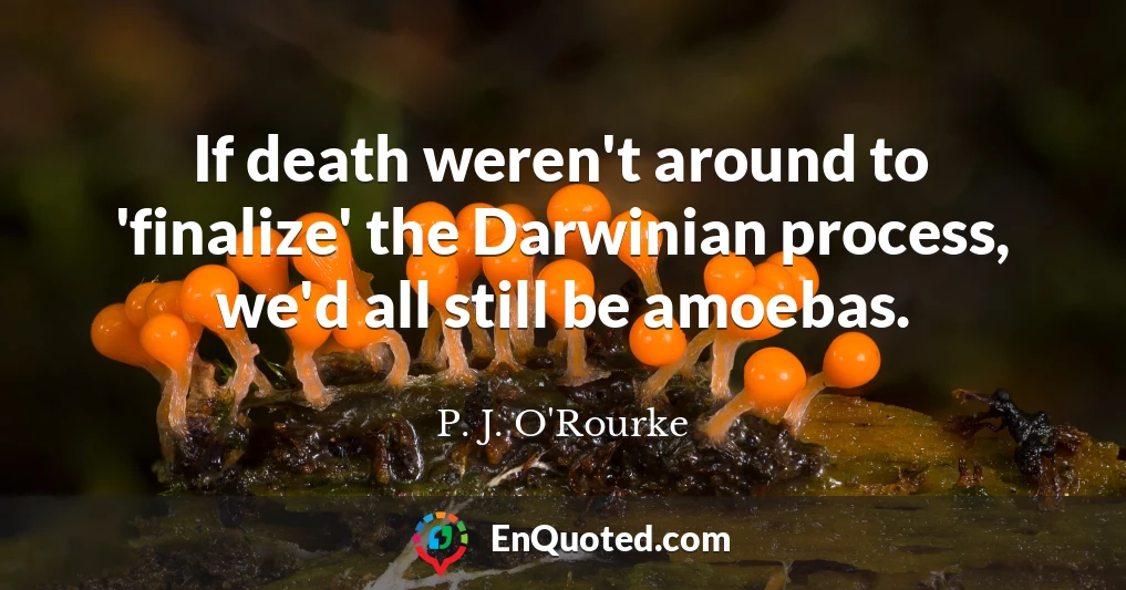 If death weren't around to 'finalize' the Darwinian process, we'd all still be amoebas.