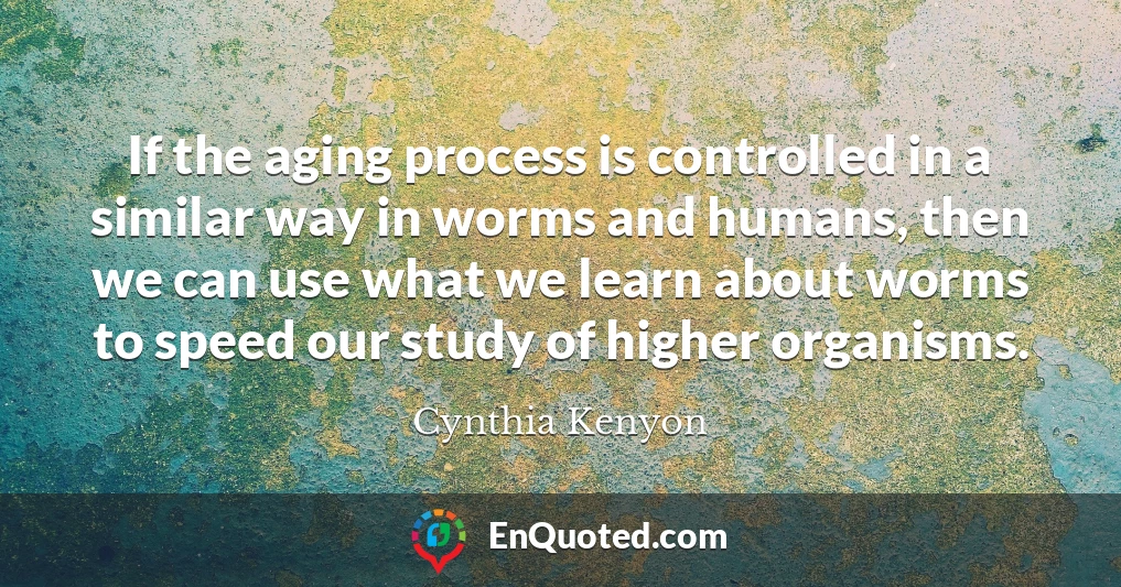 If the aging process is controlled in a similar way in worms and humans, then we can use what we learn about worms to speed our study of higher organisms.