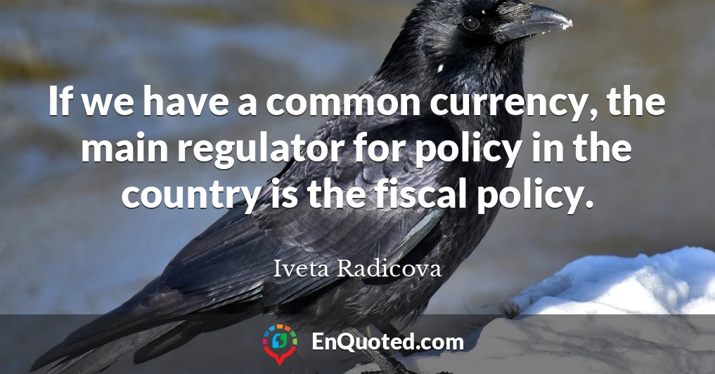 If we have a common currency, the main regulator for policy in the country is the fiscal policy.