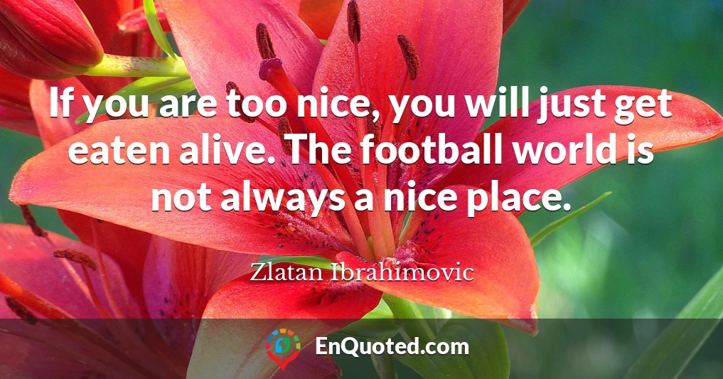 If you are too nice, you will just get eaten alive. The football world is not always a nice place.