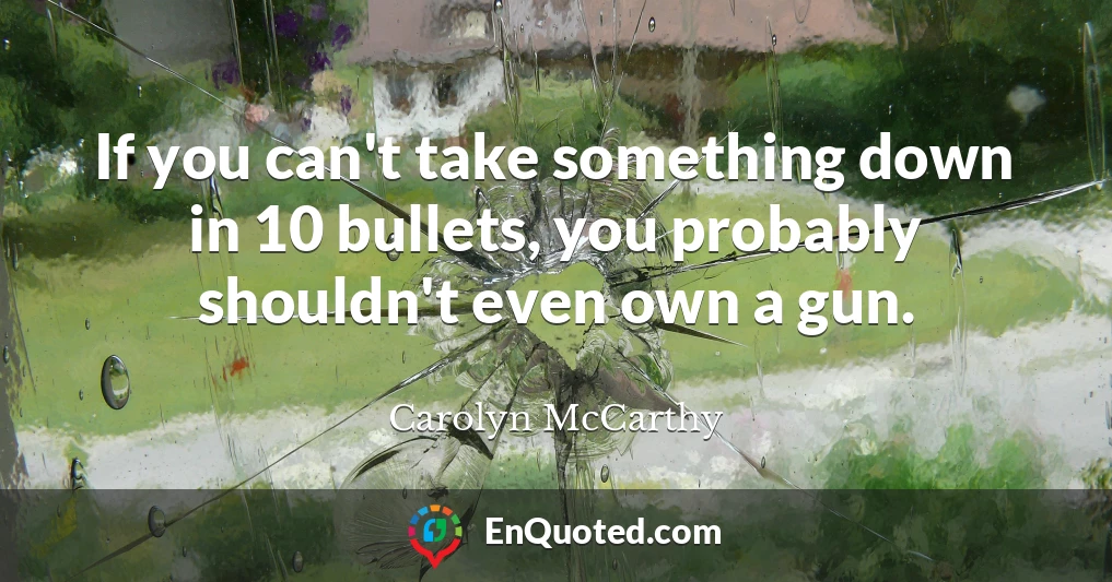 If you can't take something down in 10 bullets, you probably shouldn't even own a gun.