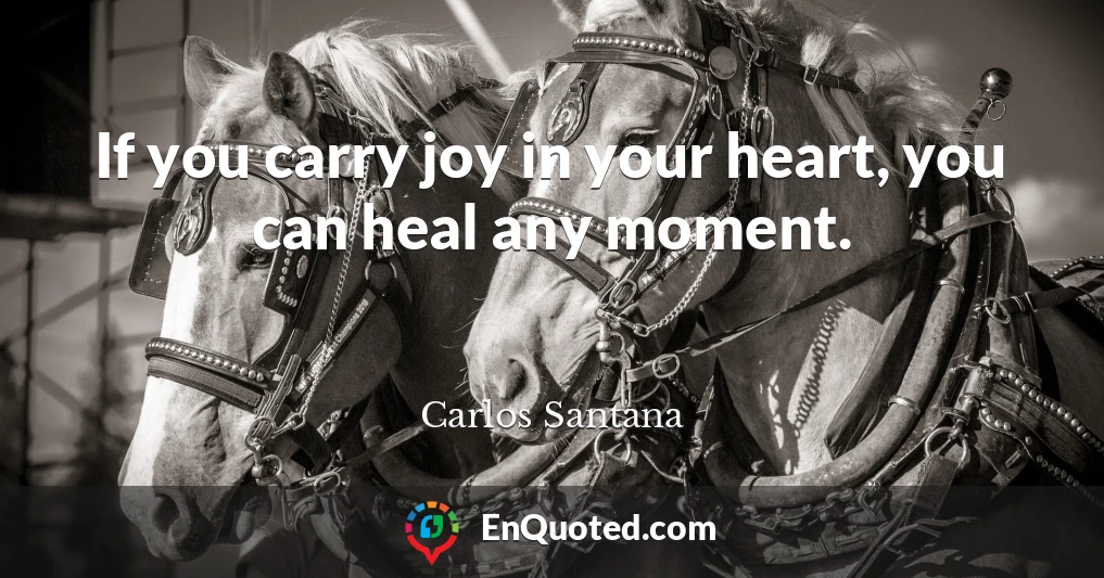 If you carry joy in your heart, you can heal any moment.