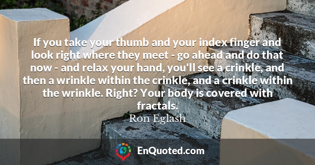 If you take your thumb and your index finger and look right where they meet - go ahead and do that now - and relax your hand, you'll see a crinkle, and then a wrinkle within the crinkle, and a crinkle within the wrinkle. Right? Your body is covered with fractals.