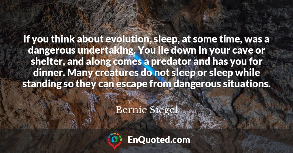 If you think about evolution, sleep, at some time, was a dangerous undertaking. You lie down in your cave or shelter, and along comes a predator and has you for dinner. Many creatures do not sleep or sleep while standing so they can escape from dangerous situations.