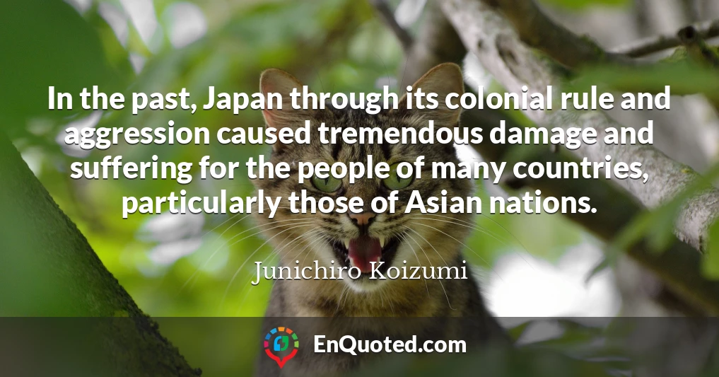 In the past, Japan through its colonial rule and aggression caused tremendous damage and suffering for the people of many countries, particularly those of Asian nations.