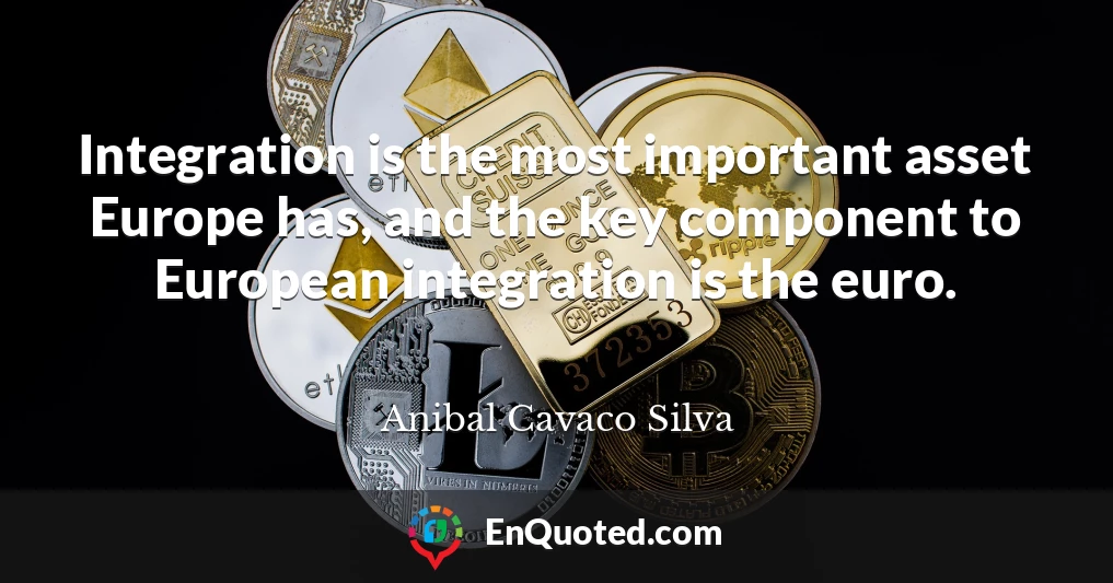 Integration is the most important asset Europe has, and the key component to European integration is the euro.
