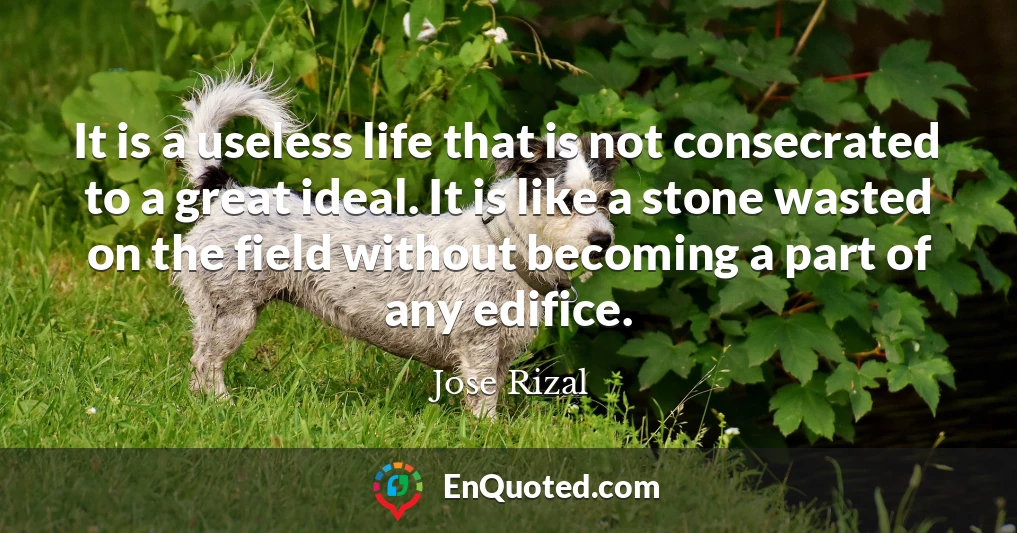 It is a useless life that is not consecrated to a great ideal. It is like a stone wasted on the field without becoming a part of any edifice.