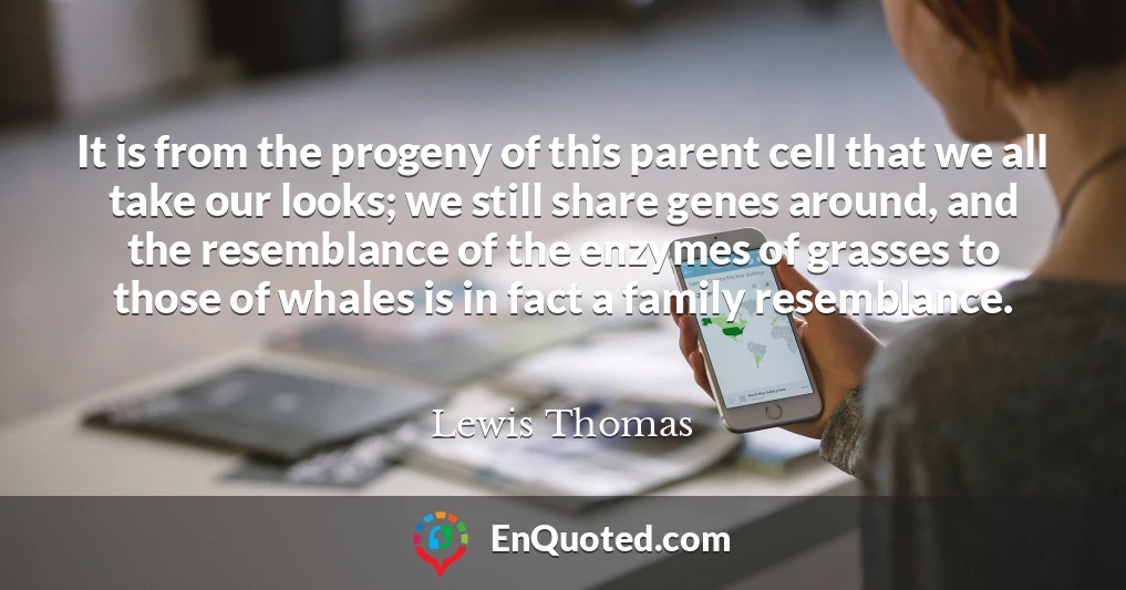 It is from the progeny of this parent cell that we all take our looks; we still share genes around, and the resemblance of the enzymes of grasses to those of whales is in fact a family resemblance.