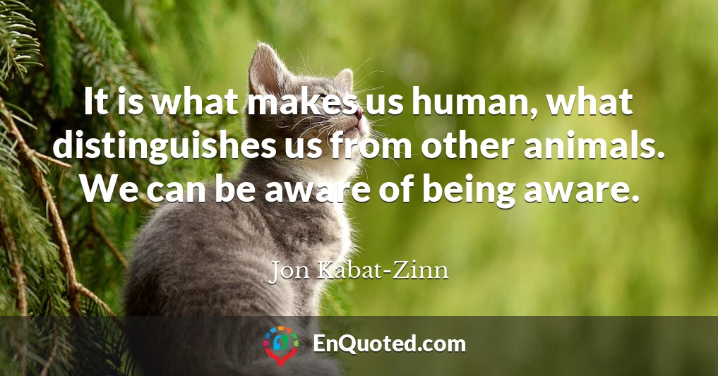 It is what makes us human, what distinguishes us from other animals. We can be aware of being aware.