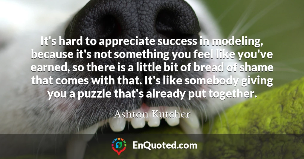 It's hard to appreciate success in modeling, because it's not something you feel like you've earned, so there is a little bit of bread of shame that comes with that. It's like somebody giving you a puzzle that's already put together. It's hard to appreciate success in modeling, because it's not something you feel like you've earned, so there is a little bit of bread of shame that comes with that. It's like somebody giving you a puzzle that's already put together.