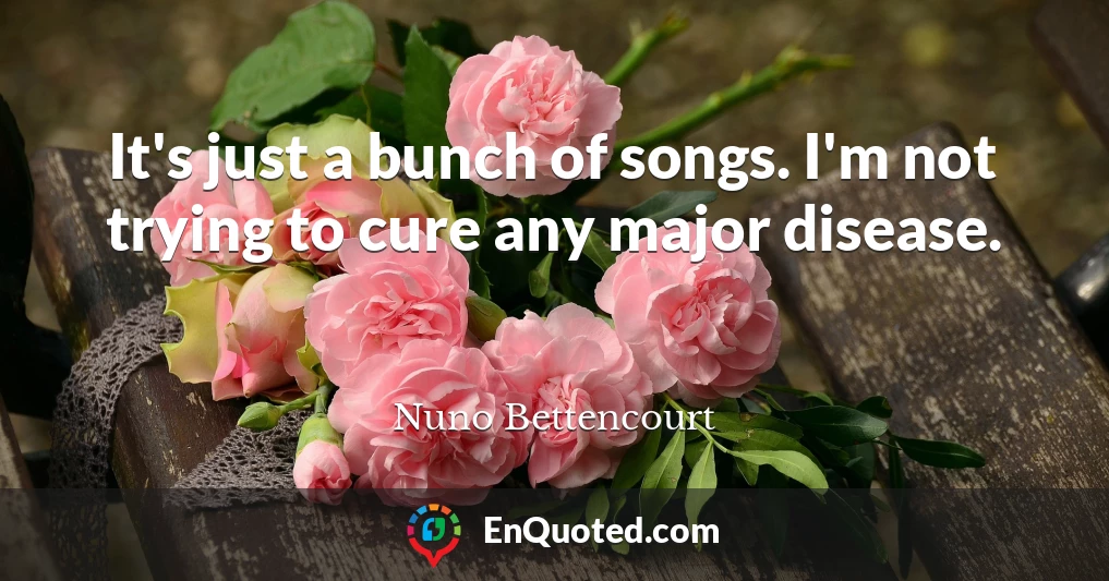 It's just a bunch of songs. I'm not trying to cure any major disease.