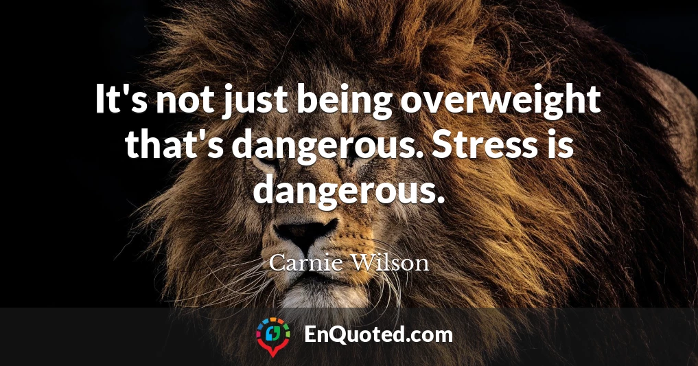 It's not just being overweight that's dangerous. Stress is dangerous.