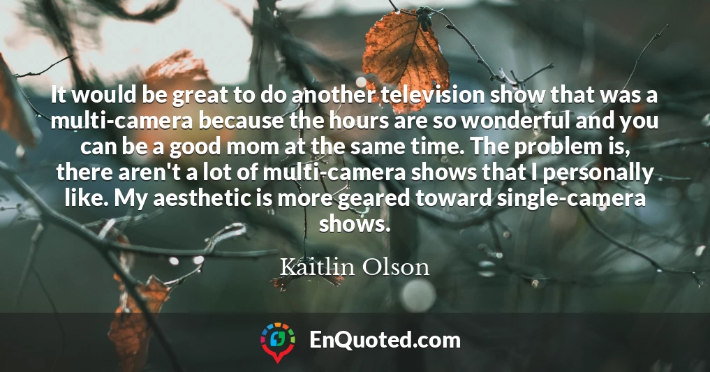 It would be great to do another television show that was a multi-camera because the hours are so wonderful and you can be a good mom at the same time. The problem is, there aren't a lot of multi-camera shows that I personally like. My aesthetic is more geared toward single-camera shows.