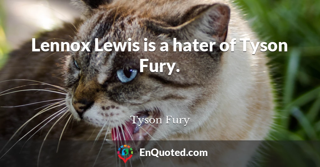 Lennox Lewis is a hater of Tyson Fury.